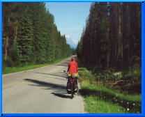 Just a little way on we passed a herd of grazing Elk directly on the roadside.
